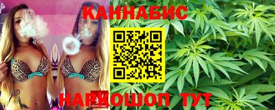 трава Кандалакша