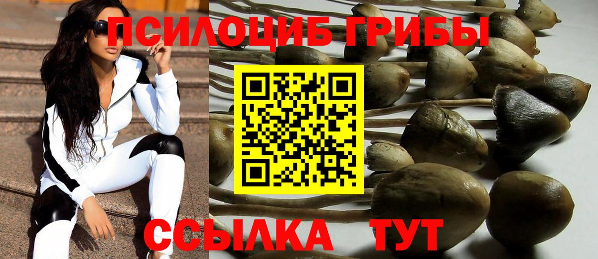 Галлюциногенные грибы MAGIC MUSHROOMS  Галлюциногенные грибы ЛСД  Луховицы  Вход с VPN 