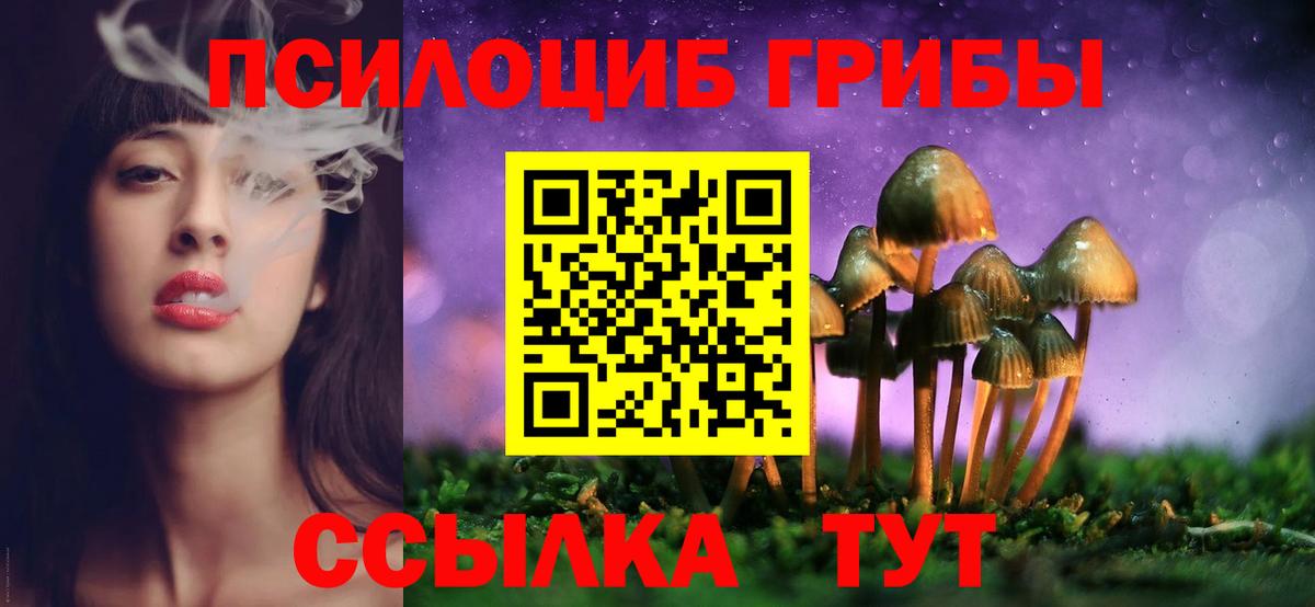 Псилоцибиновые грибы Psilocybine cubensis Луховицы